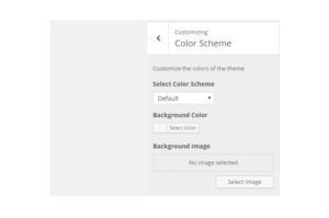 Color Scheme with WP Theme Customizer